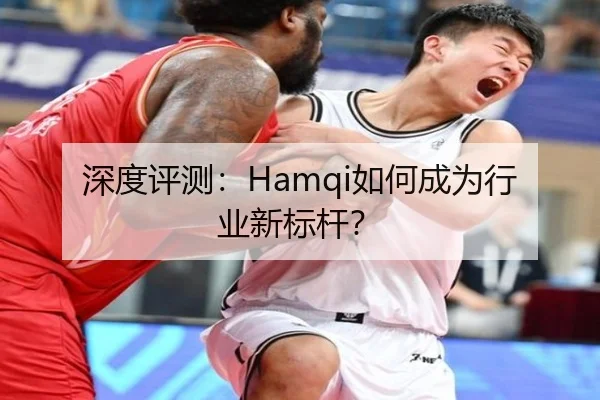 深度评测：Hamqi如何成为行业新标杆？