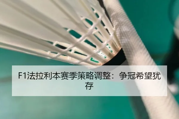 fa-la-li-ben-sai-ji-ce-lve-tiao-zheng-zheng-guan-xi-wang-you-cun-2-476.jpg
