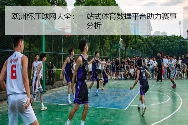 欧洲杯压球网大全：一站式体育数据平台助力赛事分析